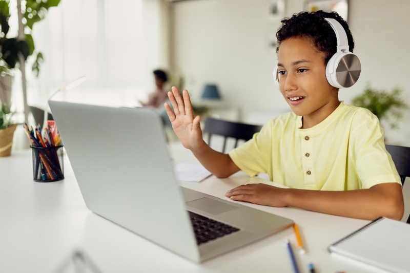 Private online school